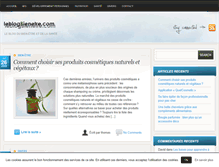 Tablet Screenshot of leblogbienetre.com